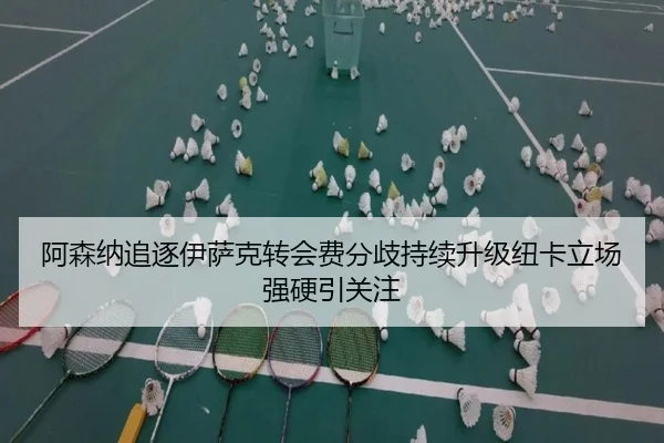 阿森纳追逐伊萨克转会费分歧持续升级纽卡立场强硬引关注 - leyu